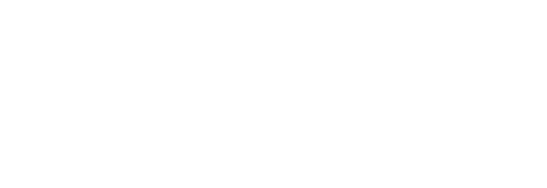 IAM Logo